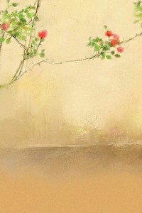 粉色旋风：势不可挡的女足力量，席卷绿茵的铿锵玫瑰