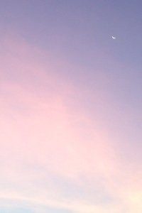 安菲尔德的咆哮：利物浦主场攻势如潮，征服一切的红色风暴