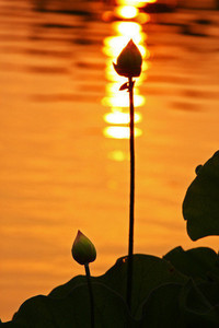 乘风破浪，逐梦前行：北京北控男篮强势突围，荣耀跃升至积分榜前六！
