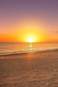 里昂主帅被解职，全队迎来新气象