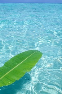 曼联遭遇阿斯顿维拉绝平，红魔的胜利之门为何如此难开？