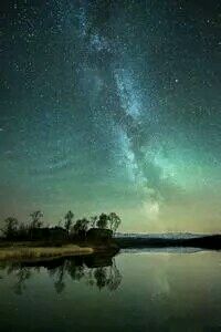 跆拳道刚劲出击，力挫群雄称雄赛场：王者之路，一往无前！