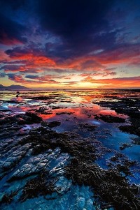 跆拳道刚劲出击，力挫群雄称雄赛场：王者之路，一往无前！