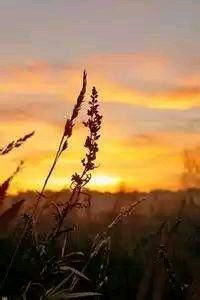 火箭客场擒下爵士，继续横扫西部强队